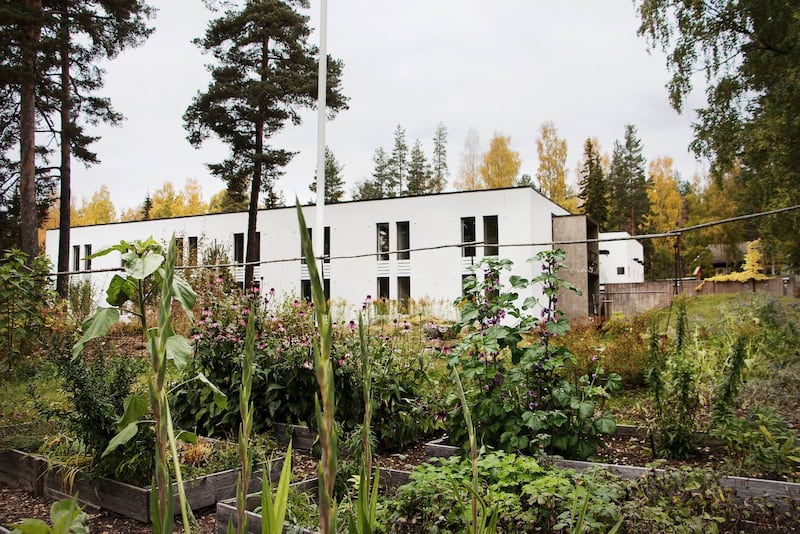 Strax intill S:t Davidsgården ligger en bibliskt inspirerad trädgård med bland annat medicinalväxter.