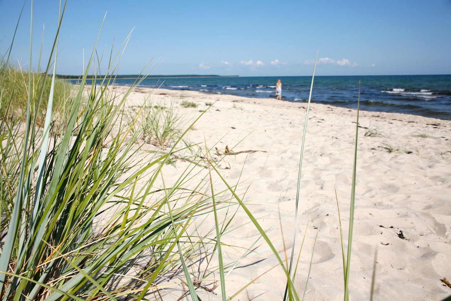 Tema resor Öland - juli 2010Böda Sand, strax norr om campingen i Böda Sand.