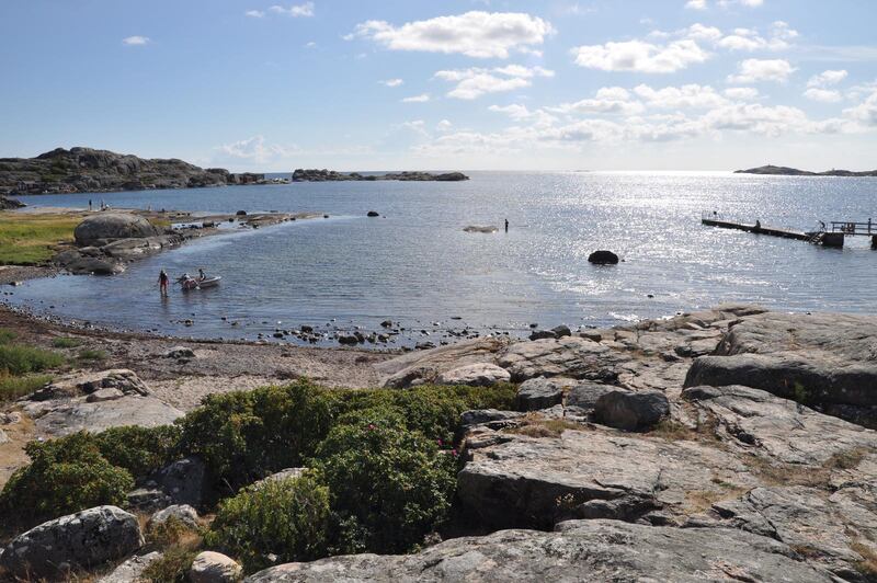 Hönökonferensen anordnas i juli varje år utanför Göteborg.