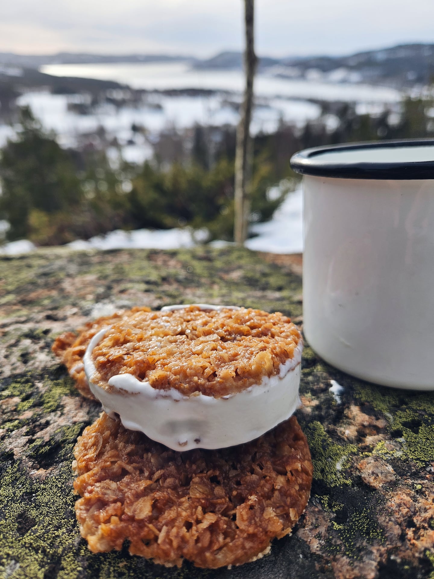 Pippis besökskakor passar bra som utflyktsfika.