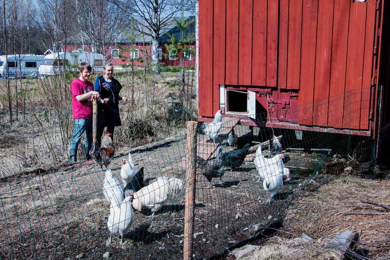 Kommuniteten Senapskornet utanför Luleå¨.