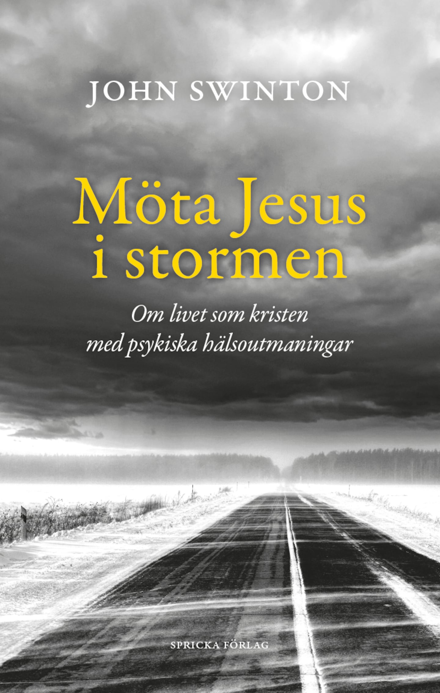 "Möta Jesus i stormen" av John Swinton.