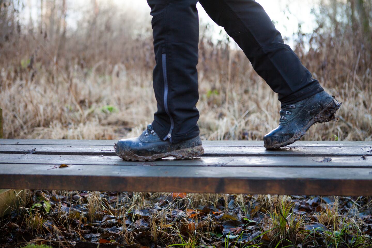 Promenad på spänger över en våtmark i Orlångens naturreservat i Huddinge.