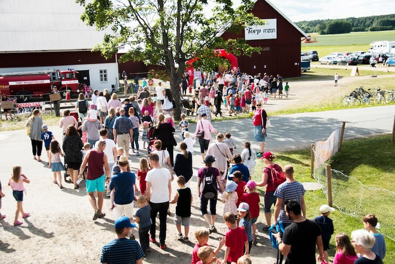 I Sverige har EFK (som paradoxalt nog utläses "Evangeliska frikyrkan") under många år orienterat sig i den evangelikala falangen.